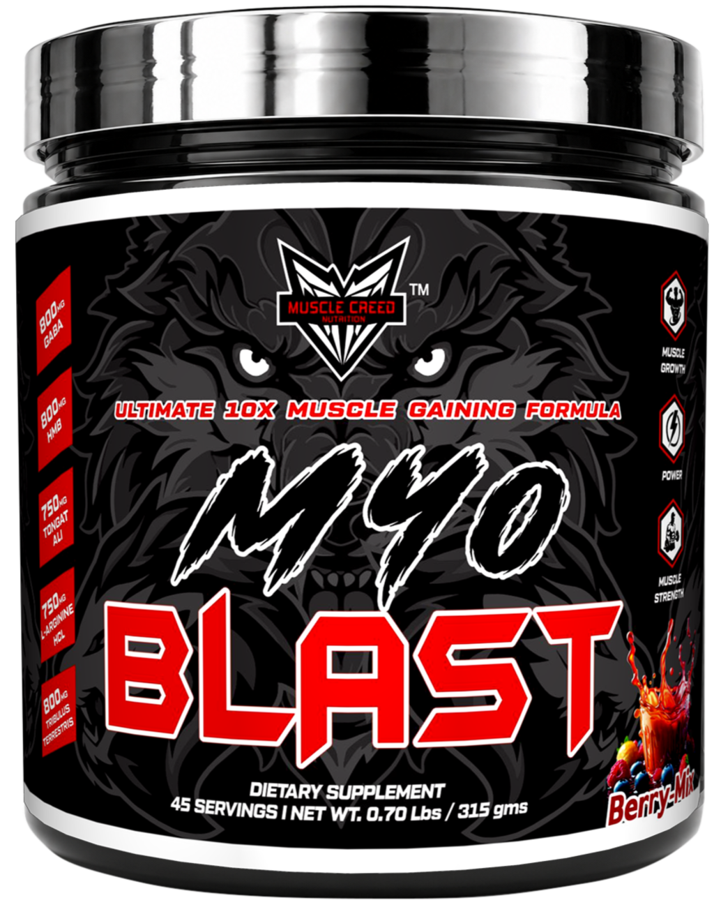 R1 Protein